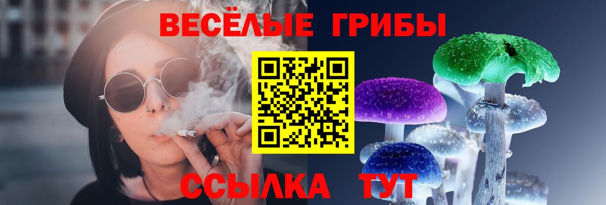 Галлюциногенные грибы прущие грибы Усинск